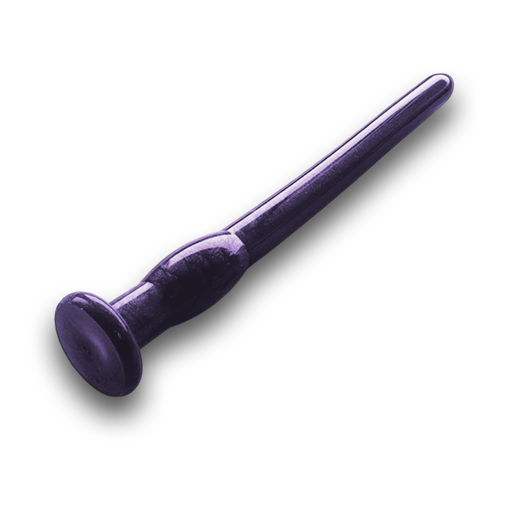 Prince's scepter series 1